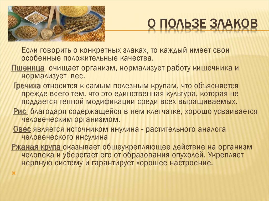 К каким продуктам относятся каши