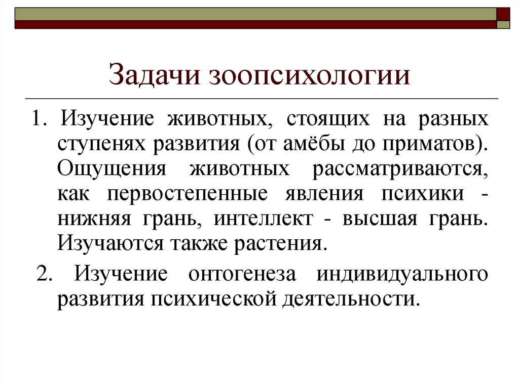 Зоопсихология. Задачи зоопсихологии. Проблемы изучения зоопсихологии. Реферат по зоопсихологии. Функции психики в зоопсихологии.