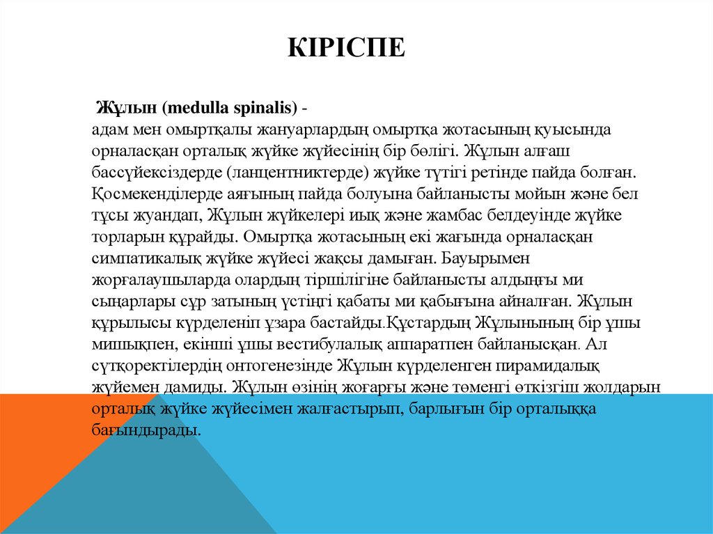 Реферат жазу үлгісі қазақша жоспары. Абитурент Кіріспе. Адиджас слайды.