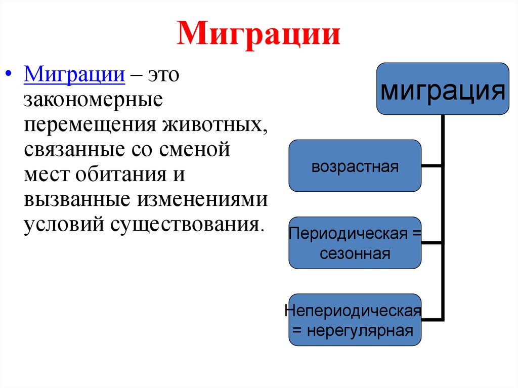 Ареалы обитания миграции закономерности размещения животных 7 класс презентация