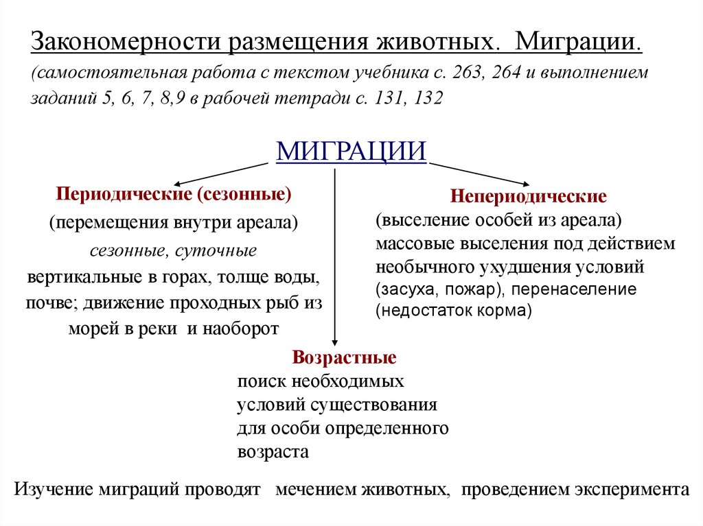 Закончите схему и приведите примеры животных для которых характерен тот или иной тип миграции