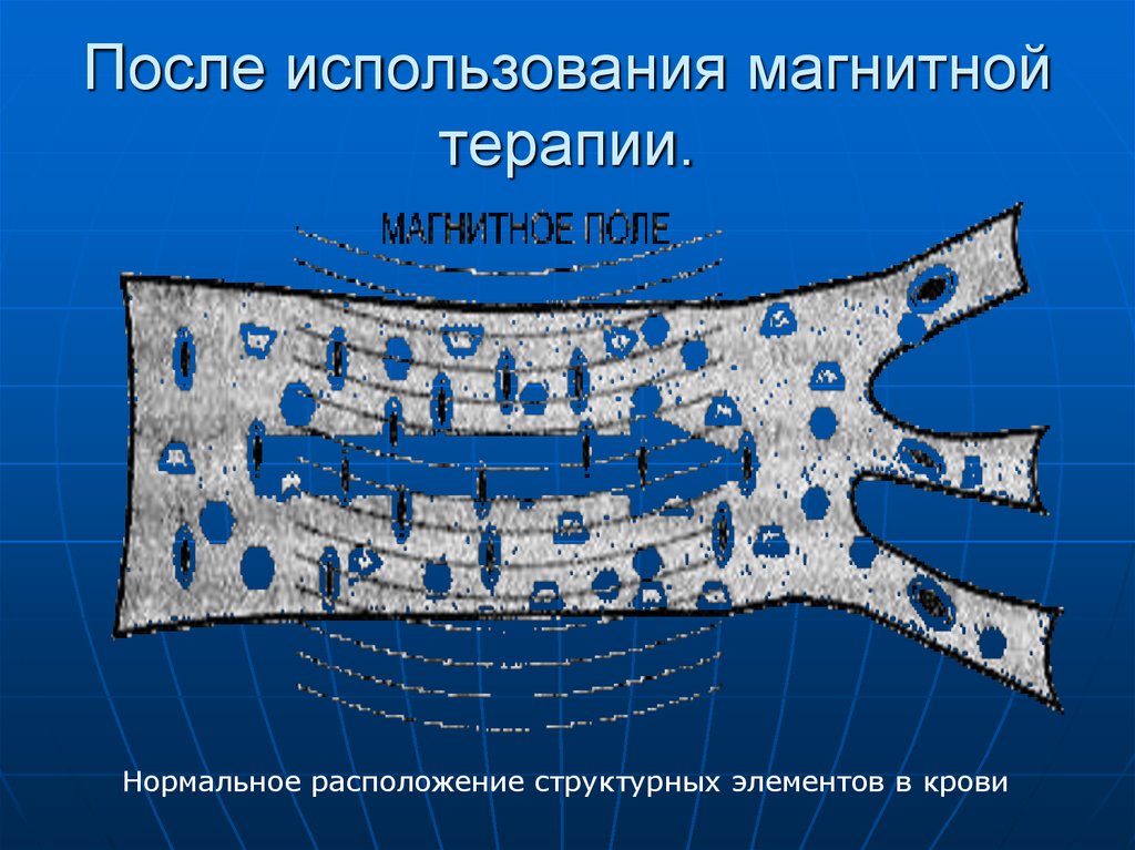 Влияние магнитного поля на живые организмы презентация