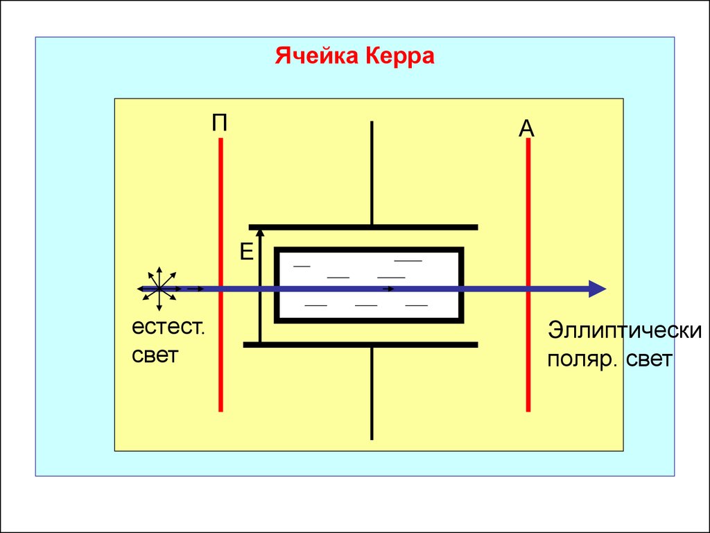 Шотландский физик 6