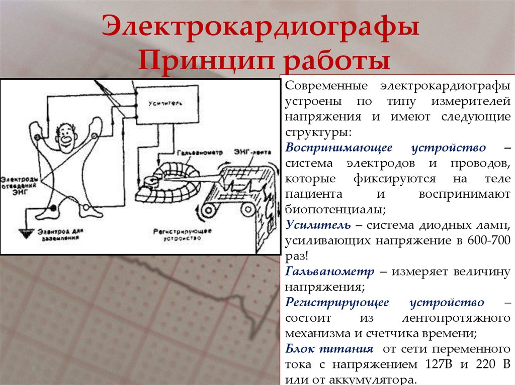 Структурная схема экг