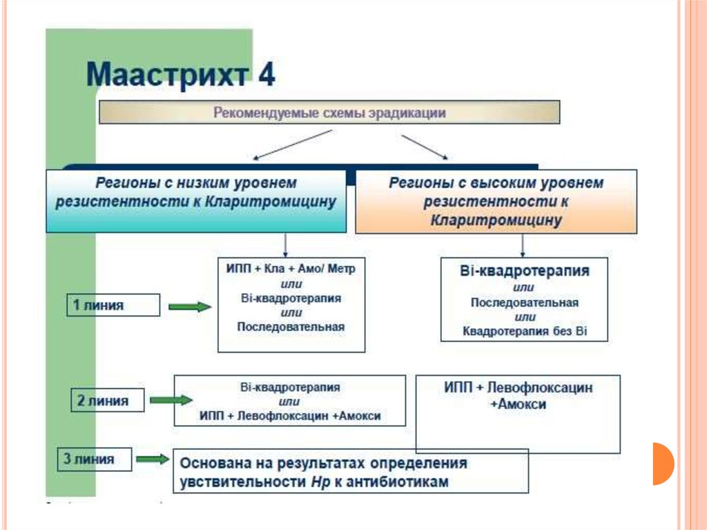 Маастрихт 5 рекомендации схемы эрадикации