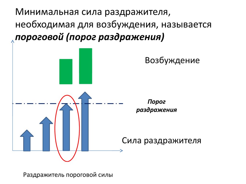 Как называется возбуждение