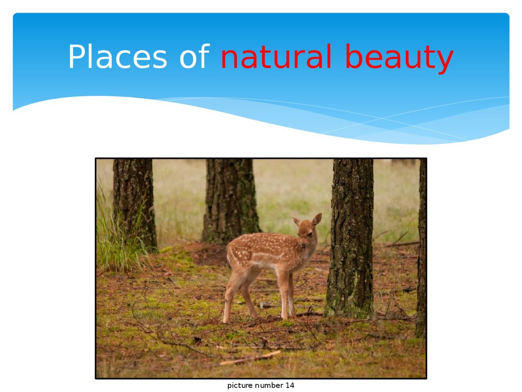 Places of natural beauty