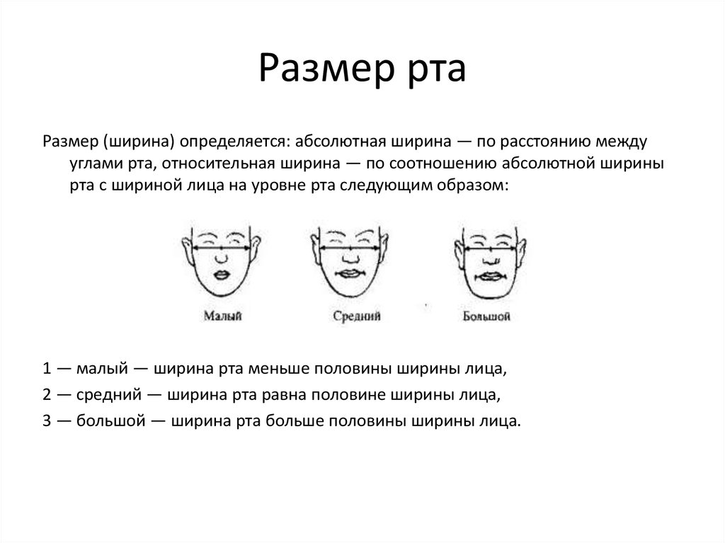 Большой рот размеры