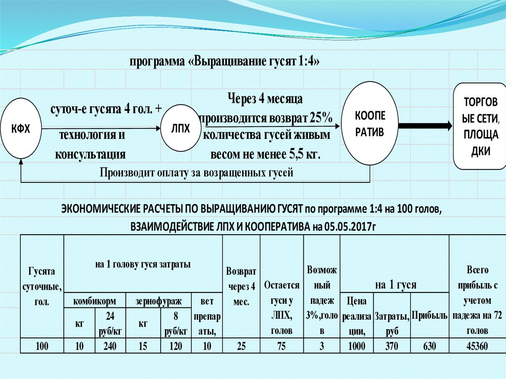 Программа разведения