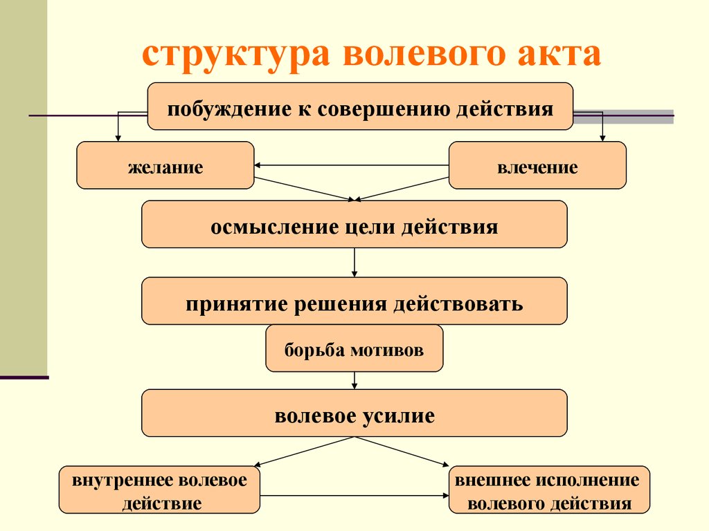 Заполните схему сложного волевого действия