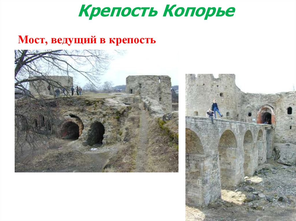 Крепость копорье карта