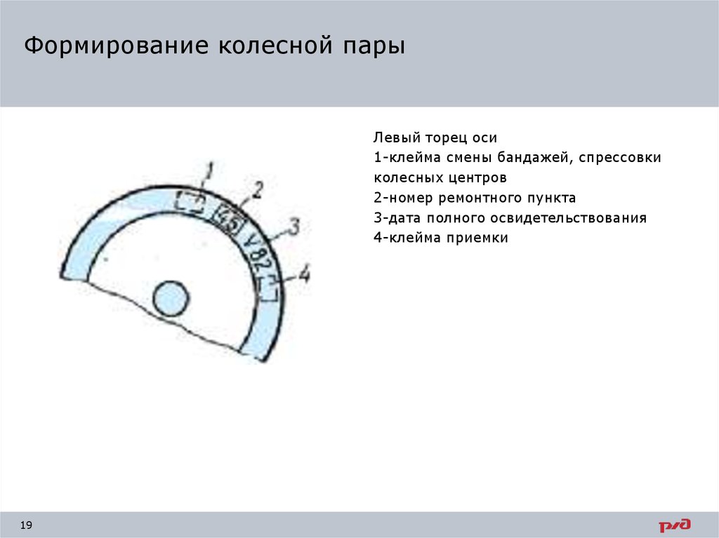 Пар формирование