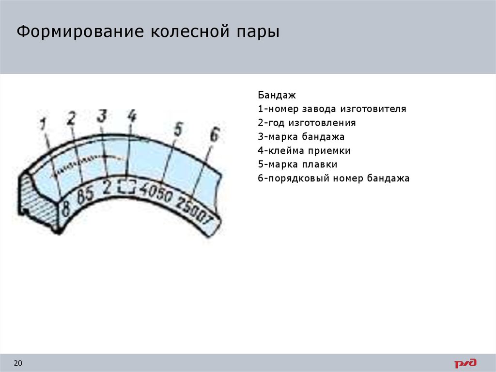 Пар формирование