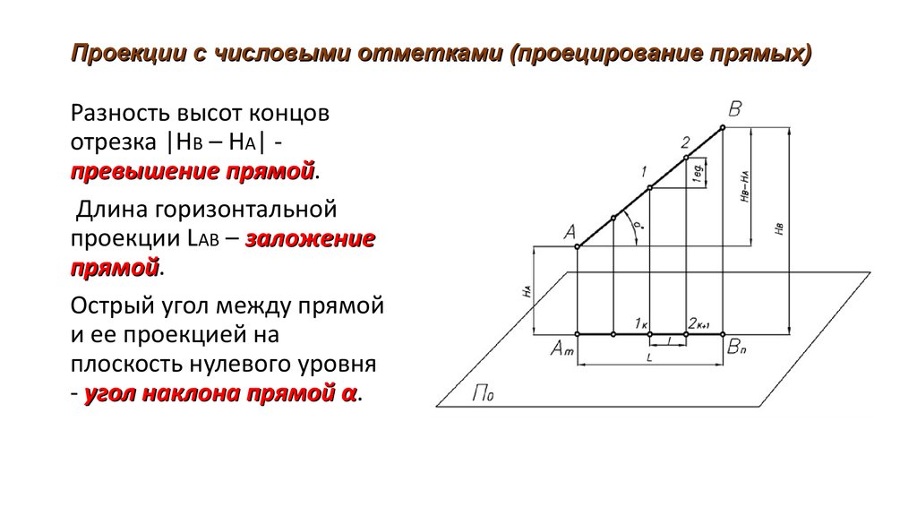 Проекция дороги