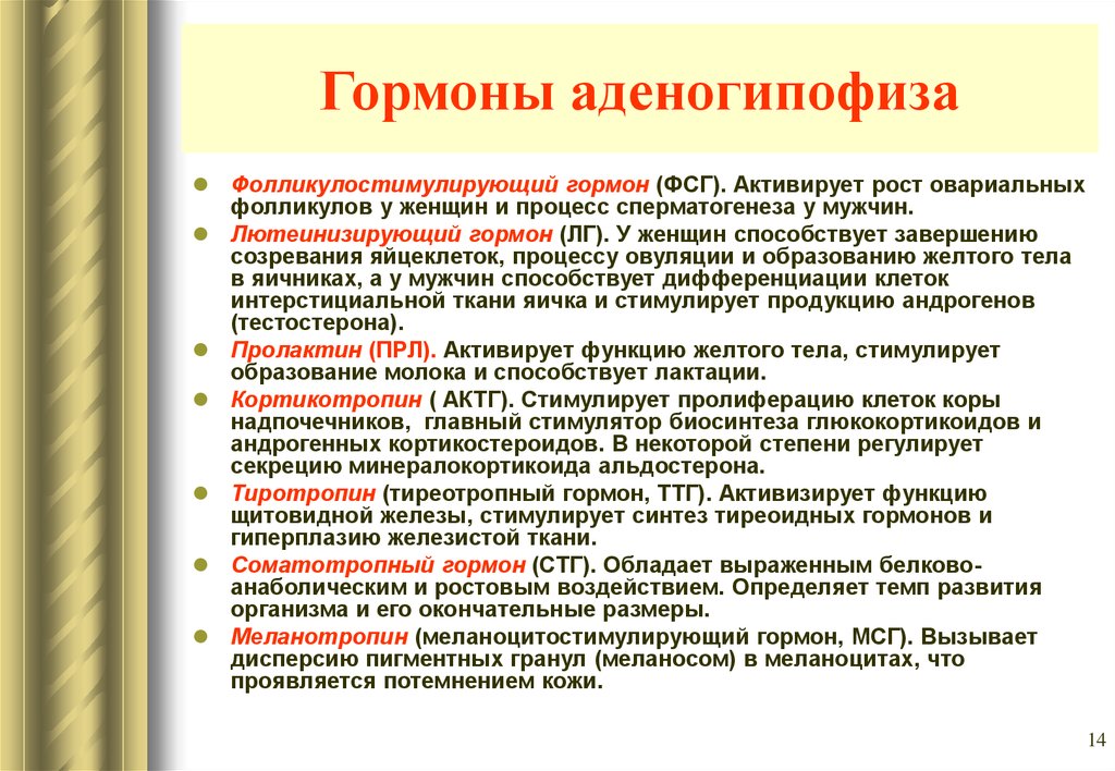 Гормоны гипофиза биохимия презентация