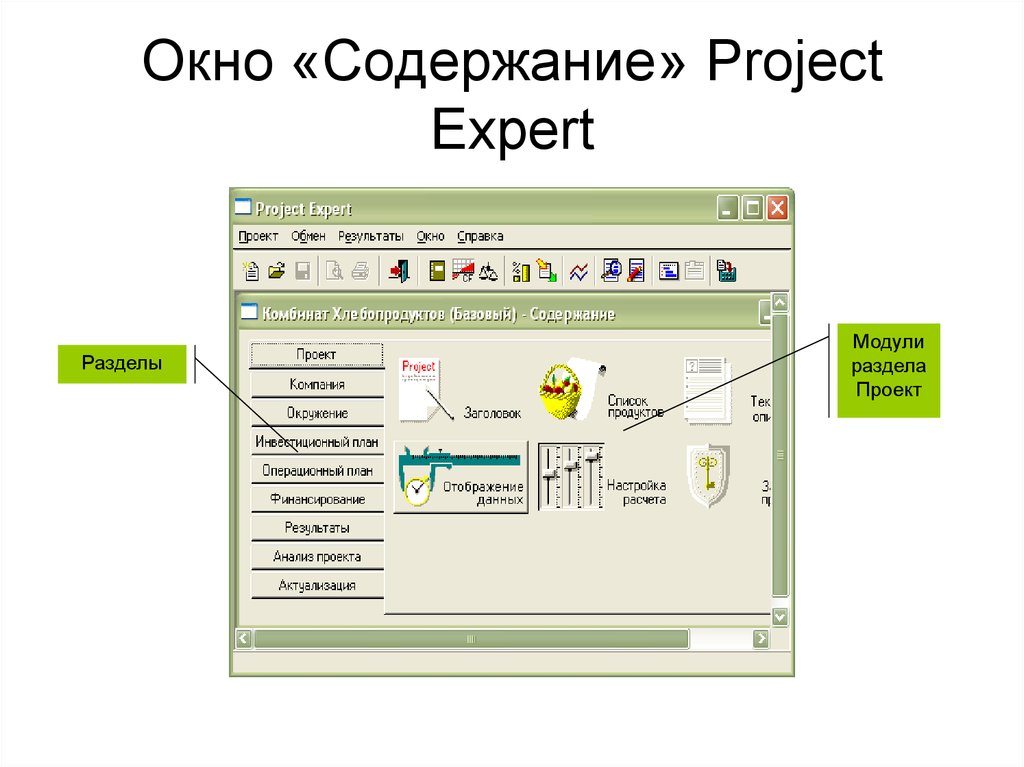 Окно содержимого. Project Expert. Project Expert содержание. Project Expert модули. Раздел 