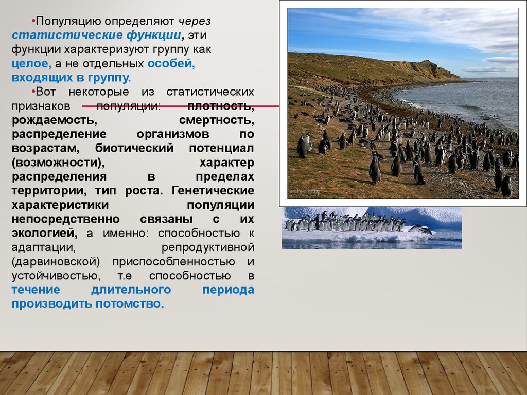 Тип территории. Идеальная популяция определение. Характер распределения в пределах территории. Размер популяции определяется. Величину инбредности популяции определяет.