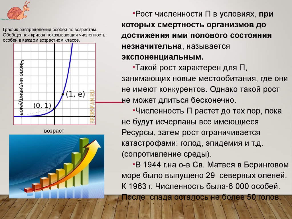 Рост численности