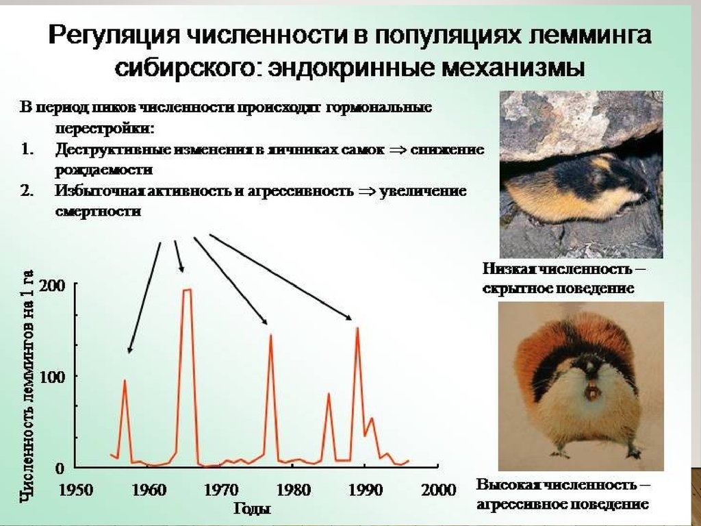 Популяционные волны схема