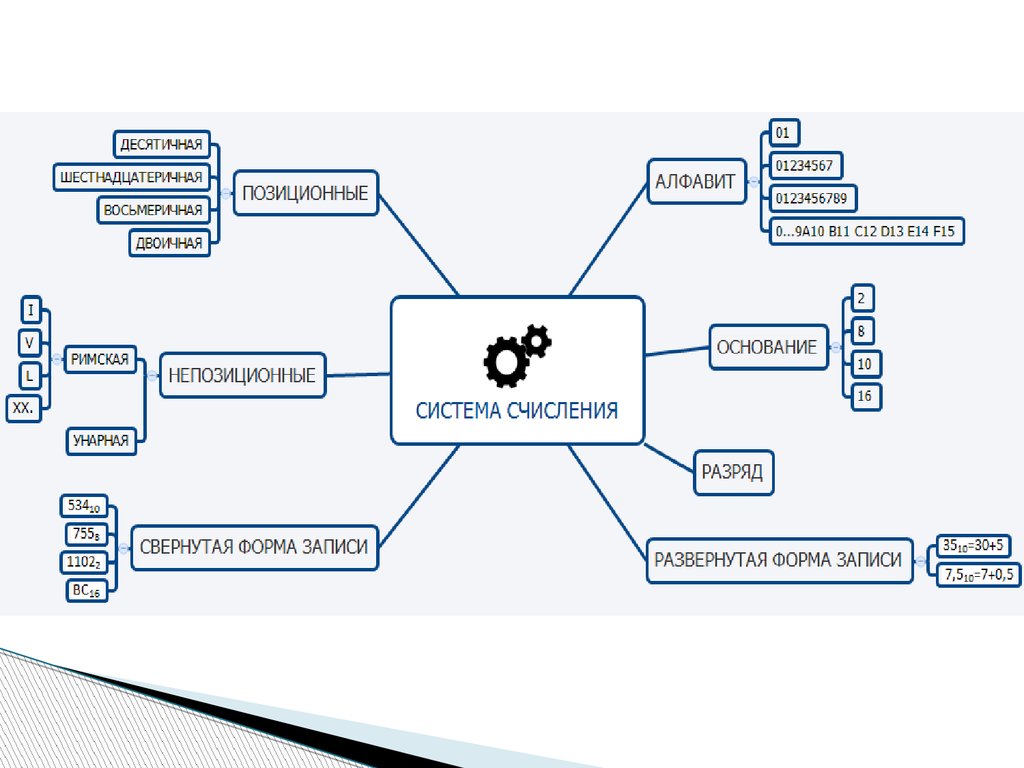 Система карт. Интеллект карта система счисления. Ментальная карта по системам счисления. Интеллект карта система Информатика. Интеллект карта пример Информатика.
