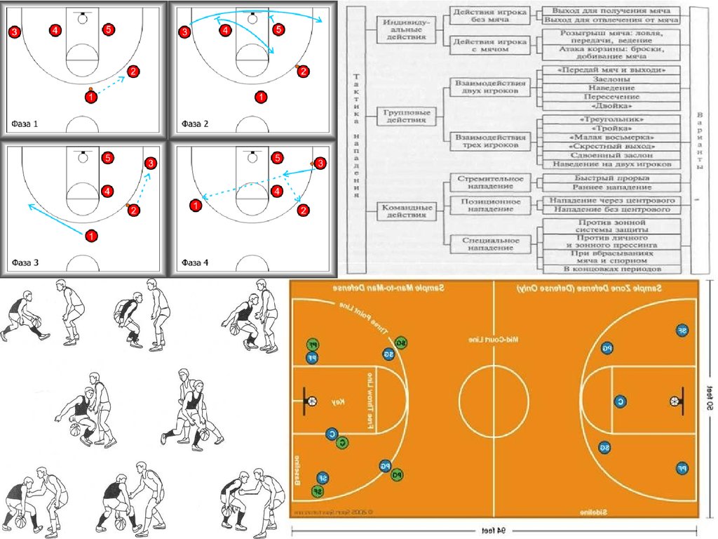 Какие элементы баскетбола. Баскетбол. Амплуа (позиции) игроков в баскетболе.. Схема игры в баскетбол. Баскетбол схема игроков. План тренировки по баскетболу.