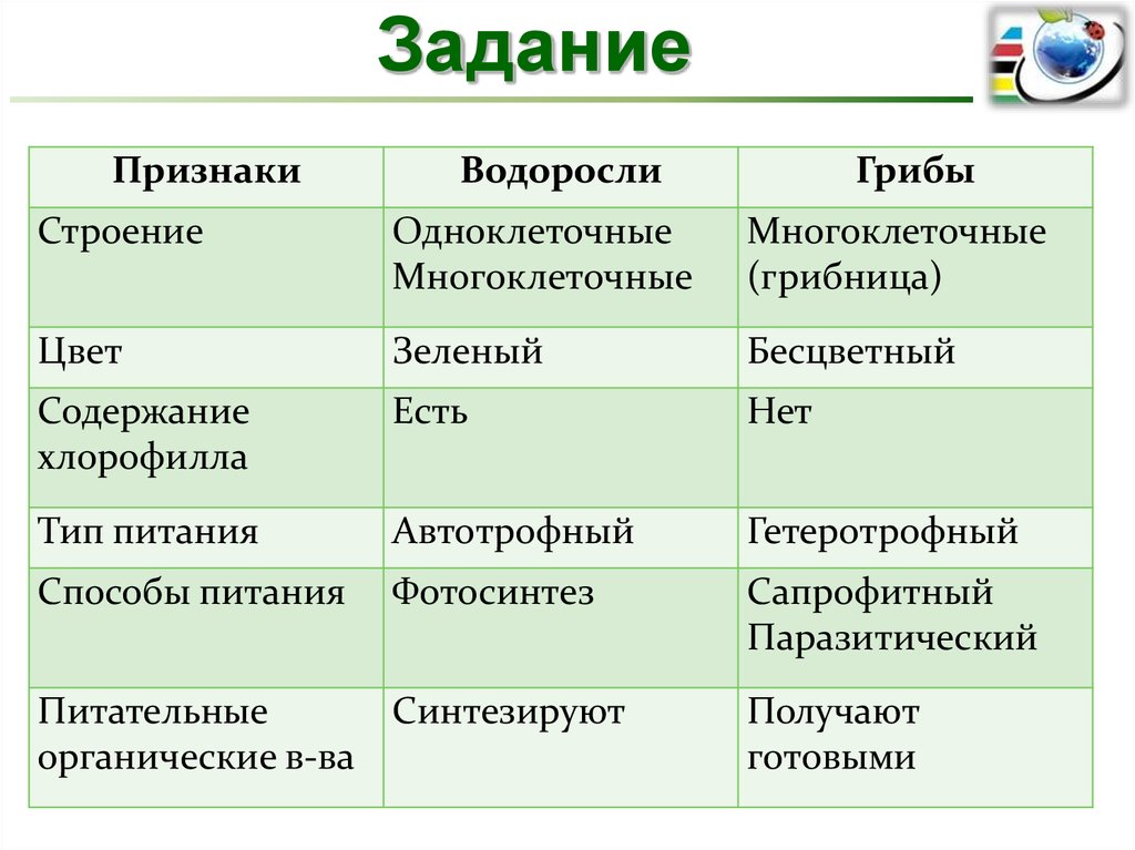 Каков основной признак водорослей