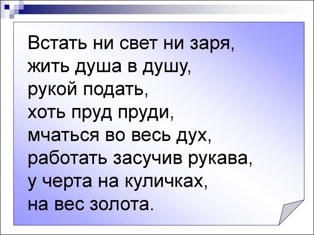 Жила заре. Ни свет ни Заря. Встать не свет не Заря. Я проснулась ни свет ни Заря. Ни свет ни Заря пословицы.