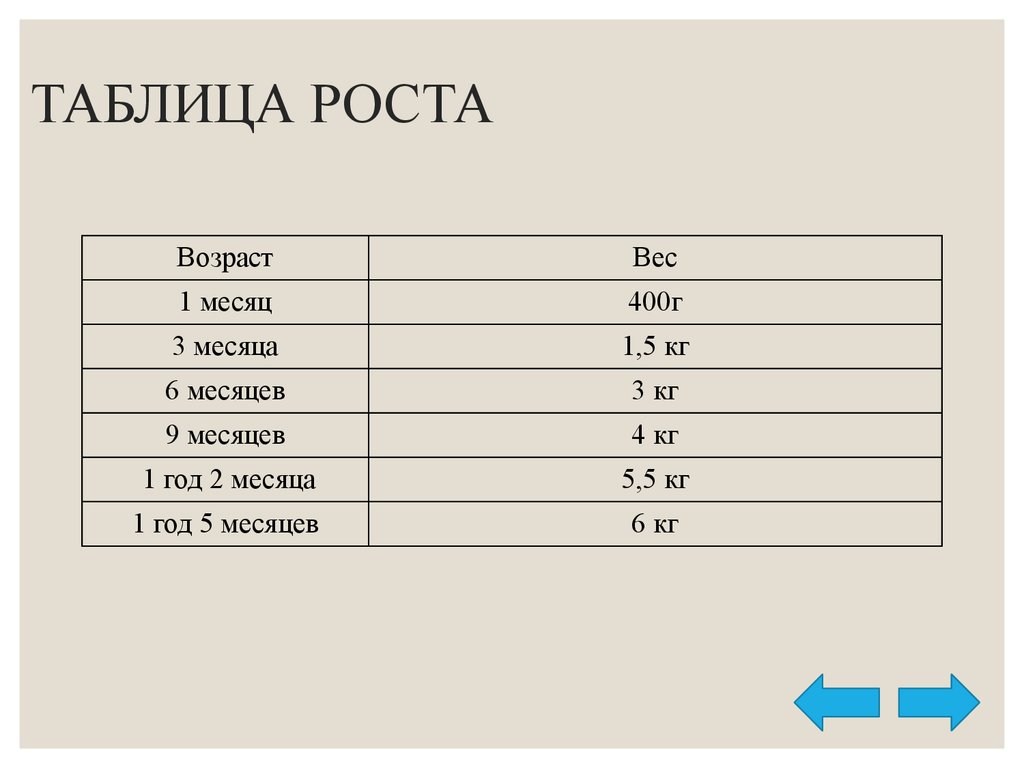 Таблица ростов 1 2 3