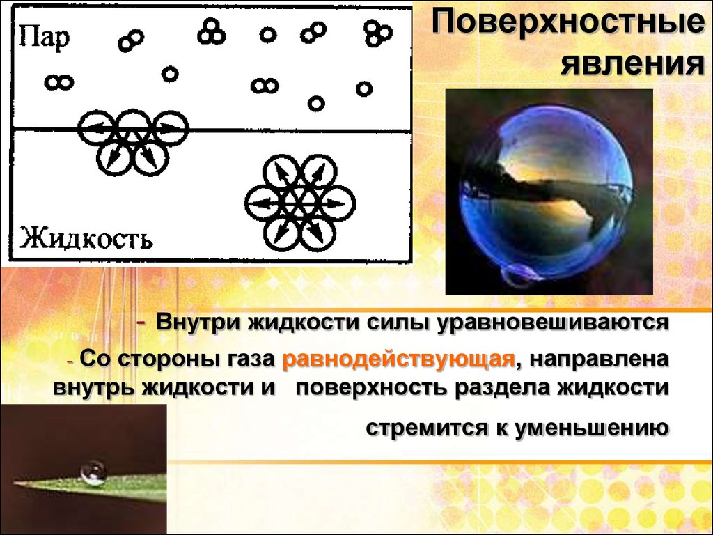 Жидкости поверхностные явления. Роверсностные явление жидкости. Поверхностные явления. Поверхностные явления в жидкости. Поверхностные явления химия.