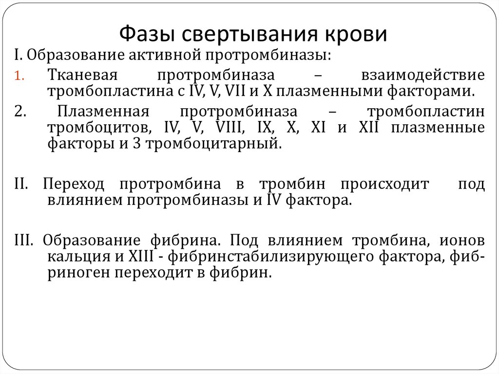 Изучите фазы свертывания крови запишите схему свертывания крови