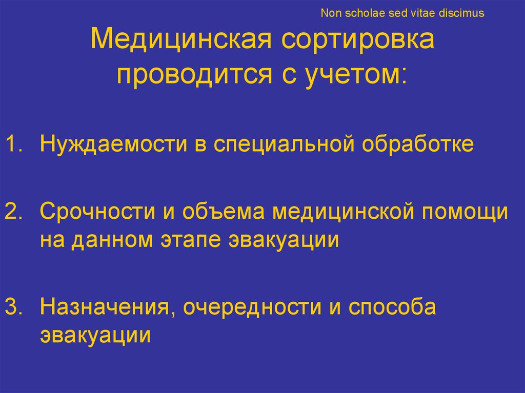 Non scholae. Non Scholae sed vitae discimus. Non Scholae sed vitae discimus падеж. Non Scholae sed vitae discimus ВШЭ. Non Scholae sed vitae discimus ВШЭ шоппер.