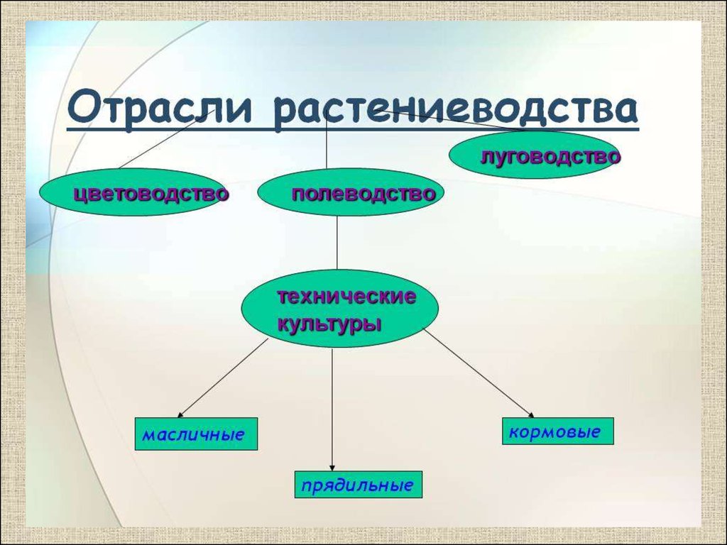 Отрасли культуры. Отрасли растениеводства. Растениеводство отрасли растениеводства. Схема отраслей растениеводства. Отрасли растениеводства в России.