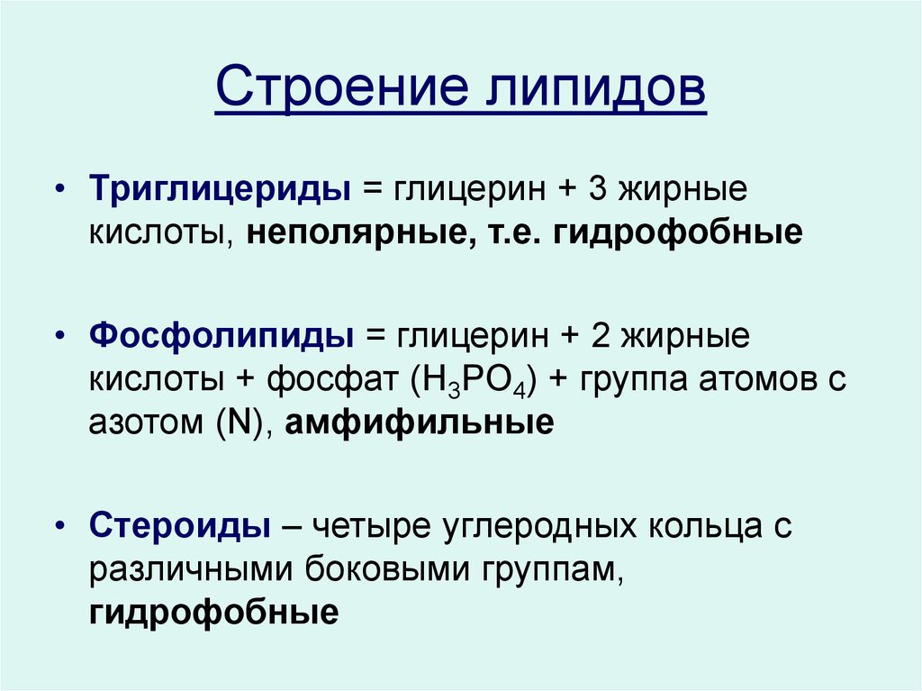 Положительные липиды