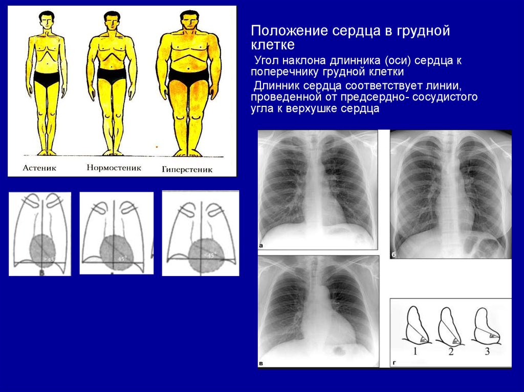 Фото для презентации диагностика