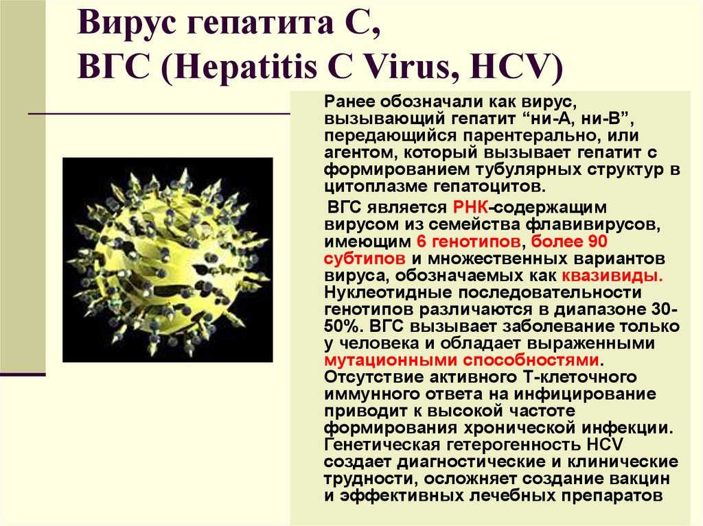 Вирусы вызывающие гепатит. Вирус гепатита в. Вирус гепатита с возбудитель. Возбудитель гепатита а.