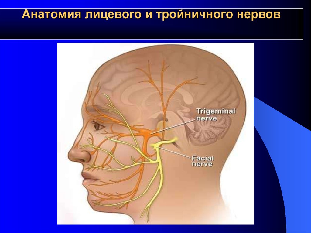 Абсцесс челюстно лицевой области фото