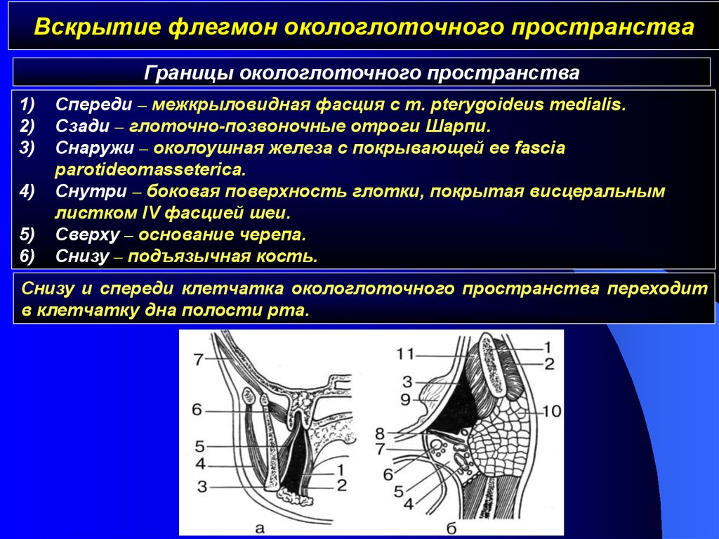 Границы пространства. Окологлоточное клетчаточное пространство. Окологлоточное пространство топографическая анатомия. Окологлоточное пространство границы. Флегмона окологлоточного пространства.