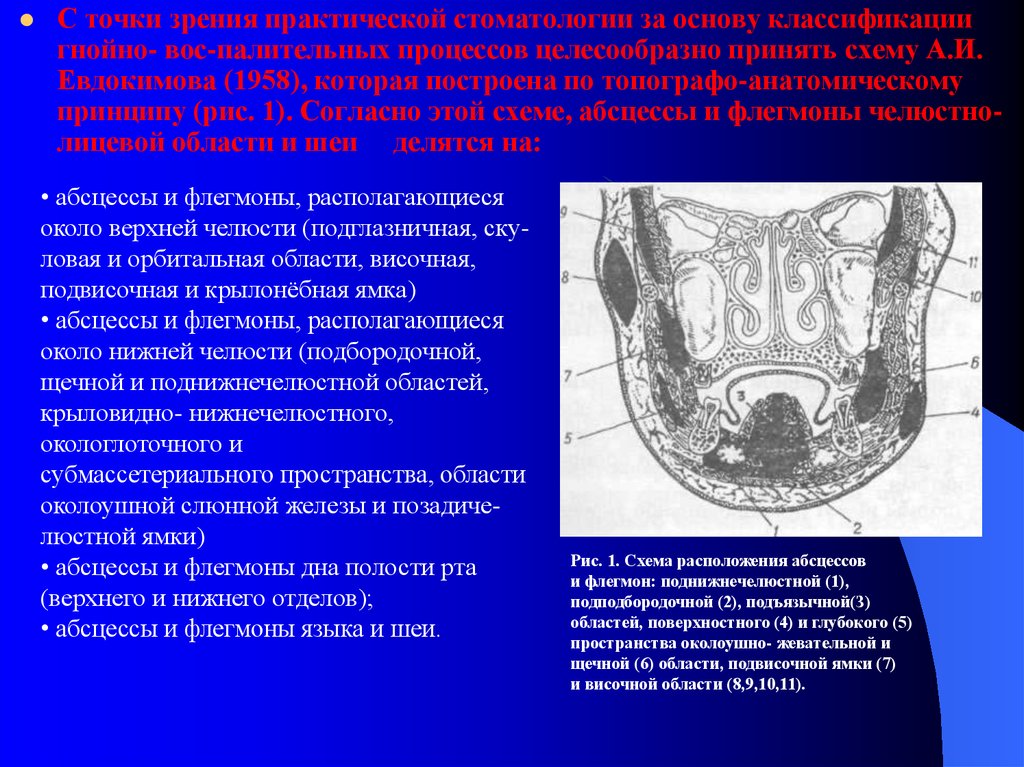 Границы флегмоны