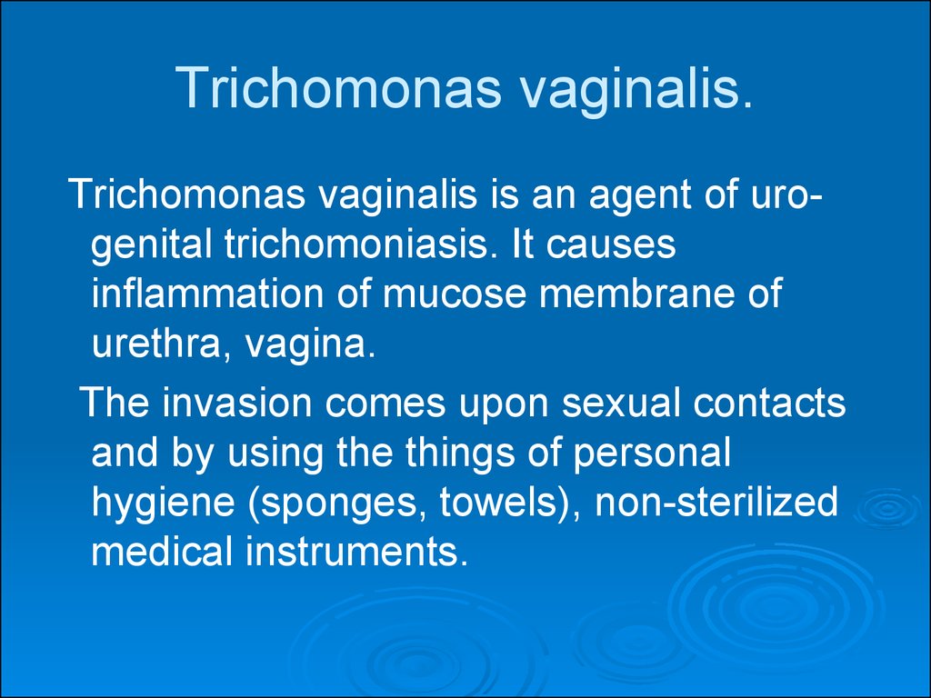 schizogony Trichomonas