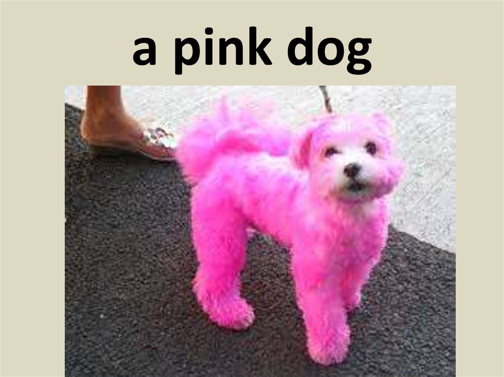 Как выглядит розовая собака Colors and animals - online presentation