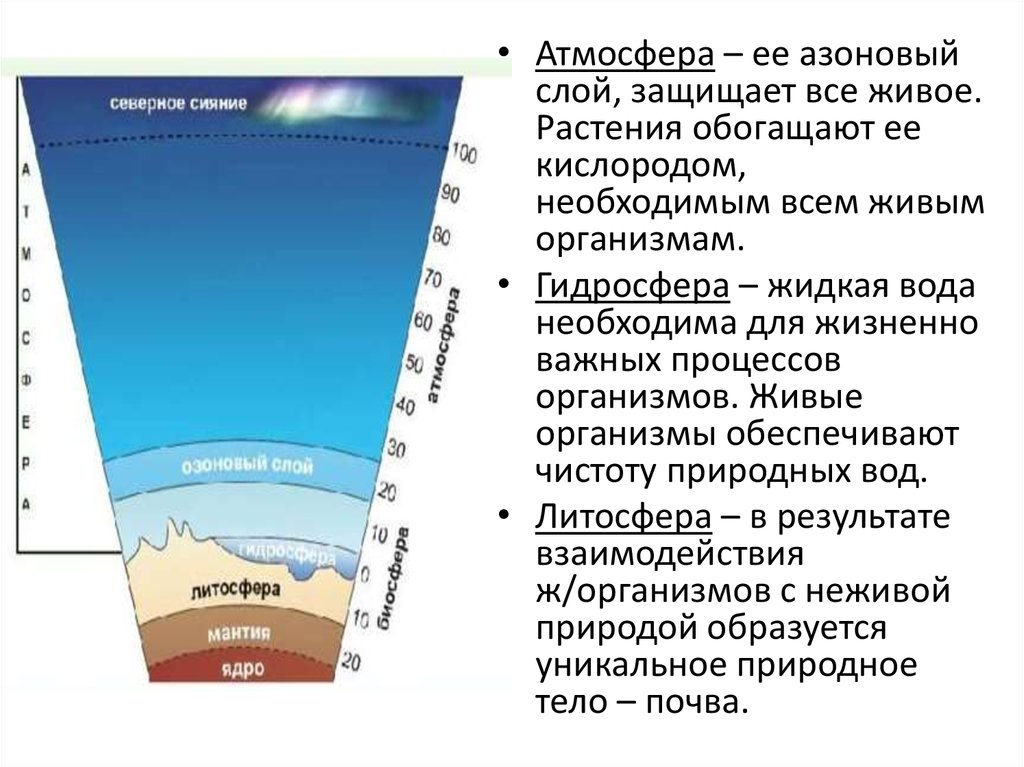 Защитить слой. Атмосфера это в биологии. Атмосфера гидросфера ядро литосфера мантия. Условия жизни в литосфере. Атмосфера земли обогащается кислородом в результате.