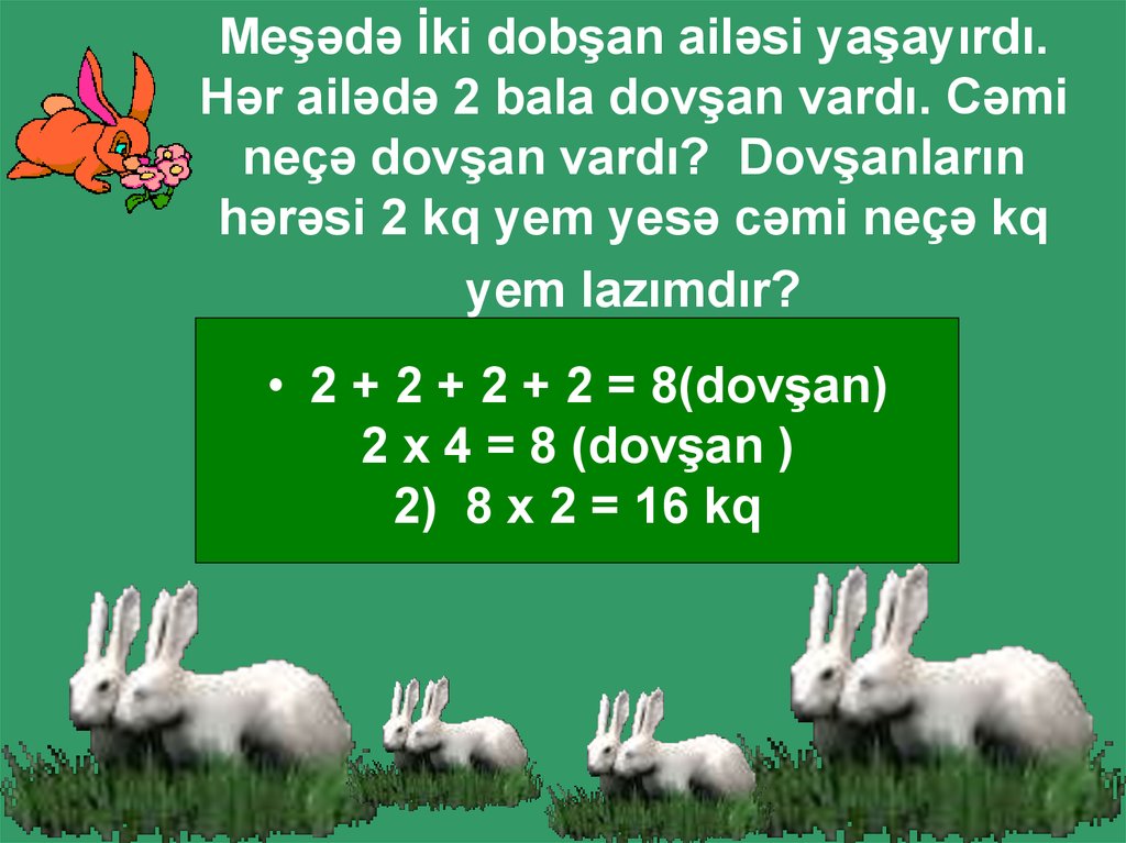 Meşədə İki dobşan ailəsi yaşayırdı. Hər ailədə 2 bala dovşan vardı. Cəmi neçə dovşan vardı? Dovşanların hərəsi 2 kq yem yesə