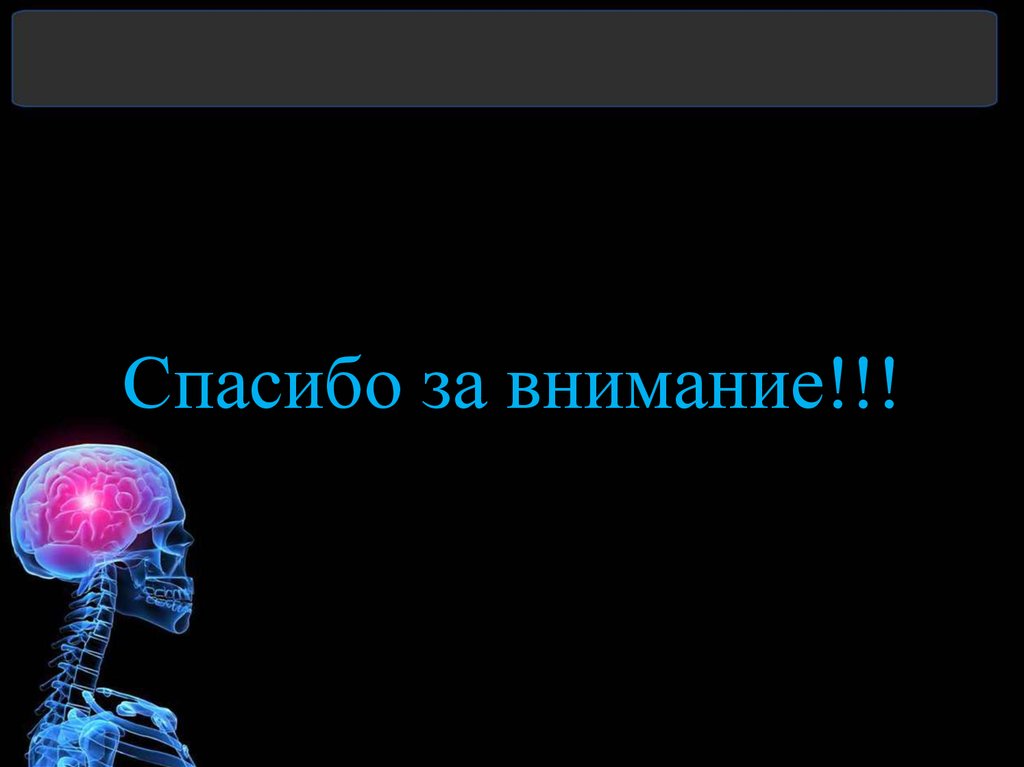 Спасибо за внимание!!!