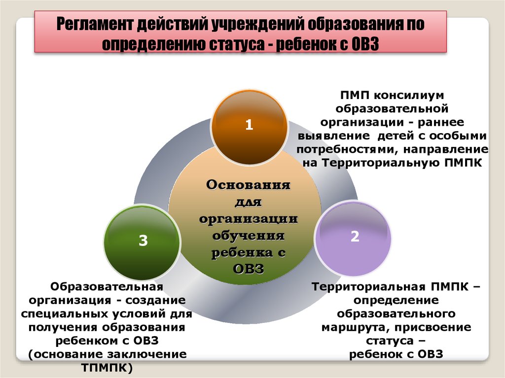 Образовательный статус ребенка.