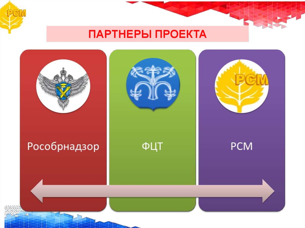 Проекты российского союза молодежи