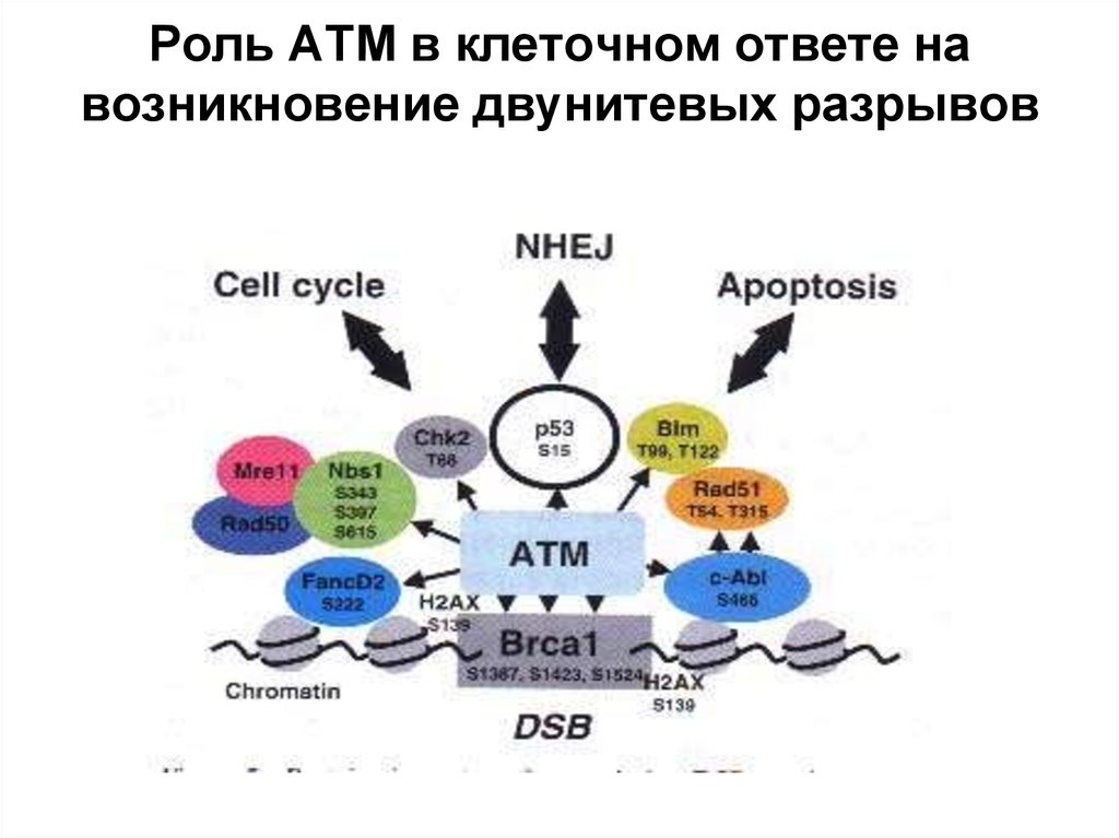 Атм н м