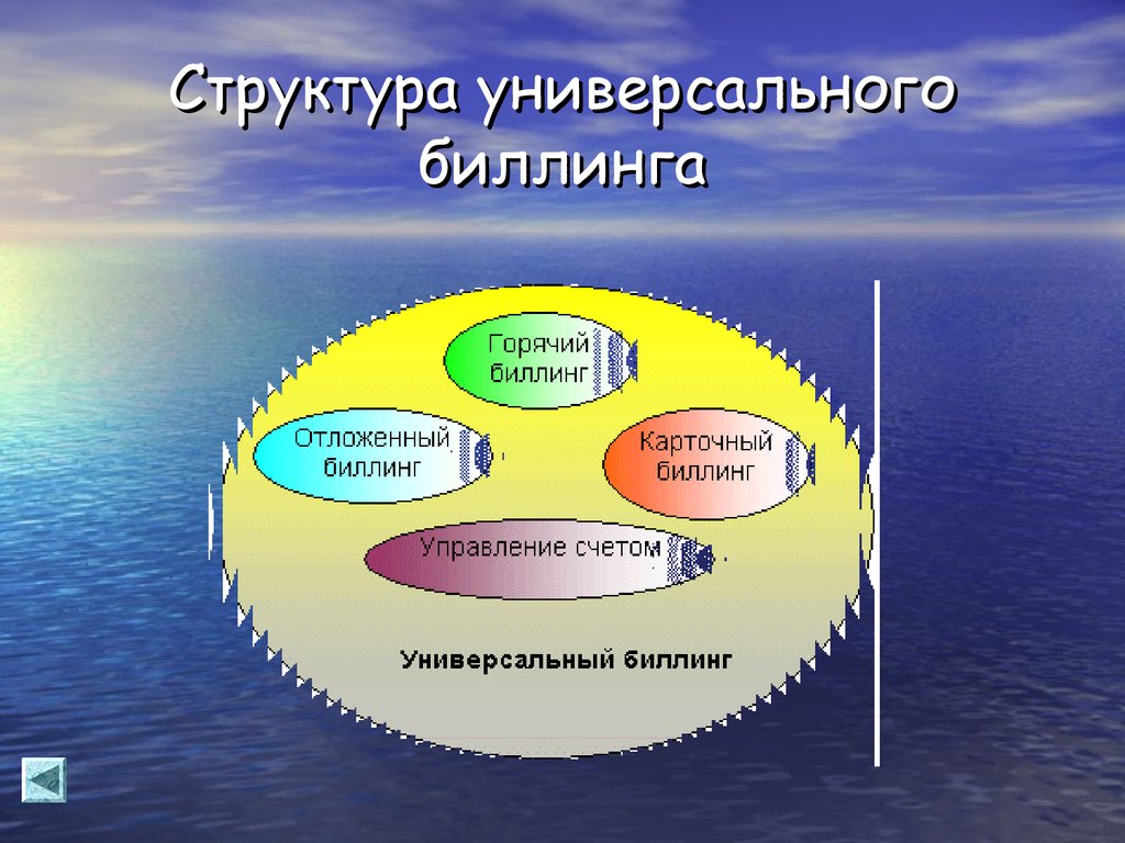 Структура универсального биллинга