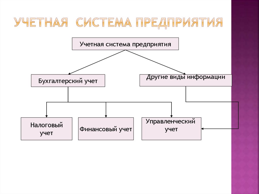 Бухгалтерская система