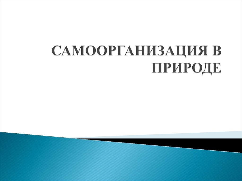 Самоорганизация в природе и обществе. Самоорганизация в природе. Самоорганизация в живой природе презентация. Самоорганизация в природе картинки. Как проявляется самоорганизация в природе.