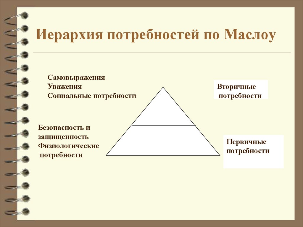 Вторичные потребности. Вторичные потребности Маслоу. Первичные потребности по Маслоу. Первичные и вторичные потребности в менеджменте. Первичные и вторичные потребности по маслу.